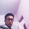 风不杨柳