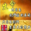 梦梦梦