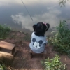 蕊宝她爸