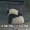 东达汽车会所梓焱
