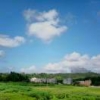 车手指