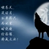 独狼