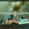 无处安放