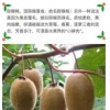 陕西眉县建斌