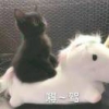 田猪