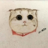 极速飞驰