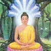 释妙根