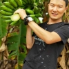 曹操（进口大众奥迪宝马专修）（