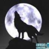 君临0天下