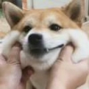我要当沙雕