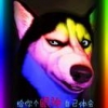 王世杰