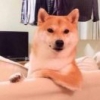 金丞