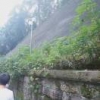 彭忠13637932593