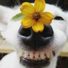 Sunflowe