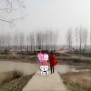 我为了我珍惜的人而努力奋斗