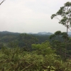 朱康生