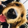 阿福