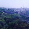 小伟74