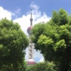 小鱼