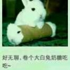 丿繁华落尽灬