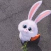 道生一