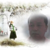 梦情王子