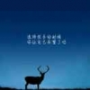 阿飞的忧伤