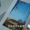 疯15