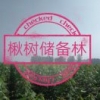 A0小川18539779897