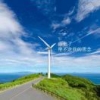 竹林听枫