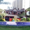 小刘37