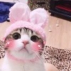 A杰