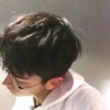 像风一样7788521