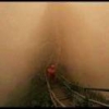 何半仙