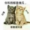 真心不如紅鈔票