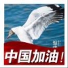 孔金亮