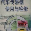 会飞的鱼