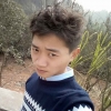 毛林