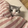 潇洒的一生