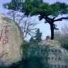 陈永生